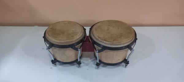 Bongo